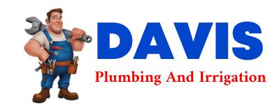 Trusted plumber in NAPONEE